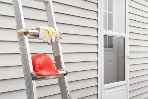 Historical Building Siding Restoration in Wellton, AZ